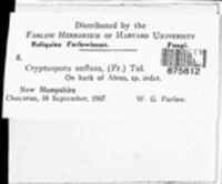 Image Associated With the Occurence